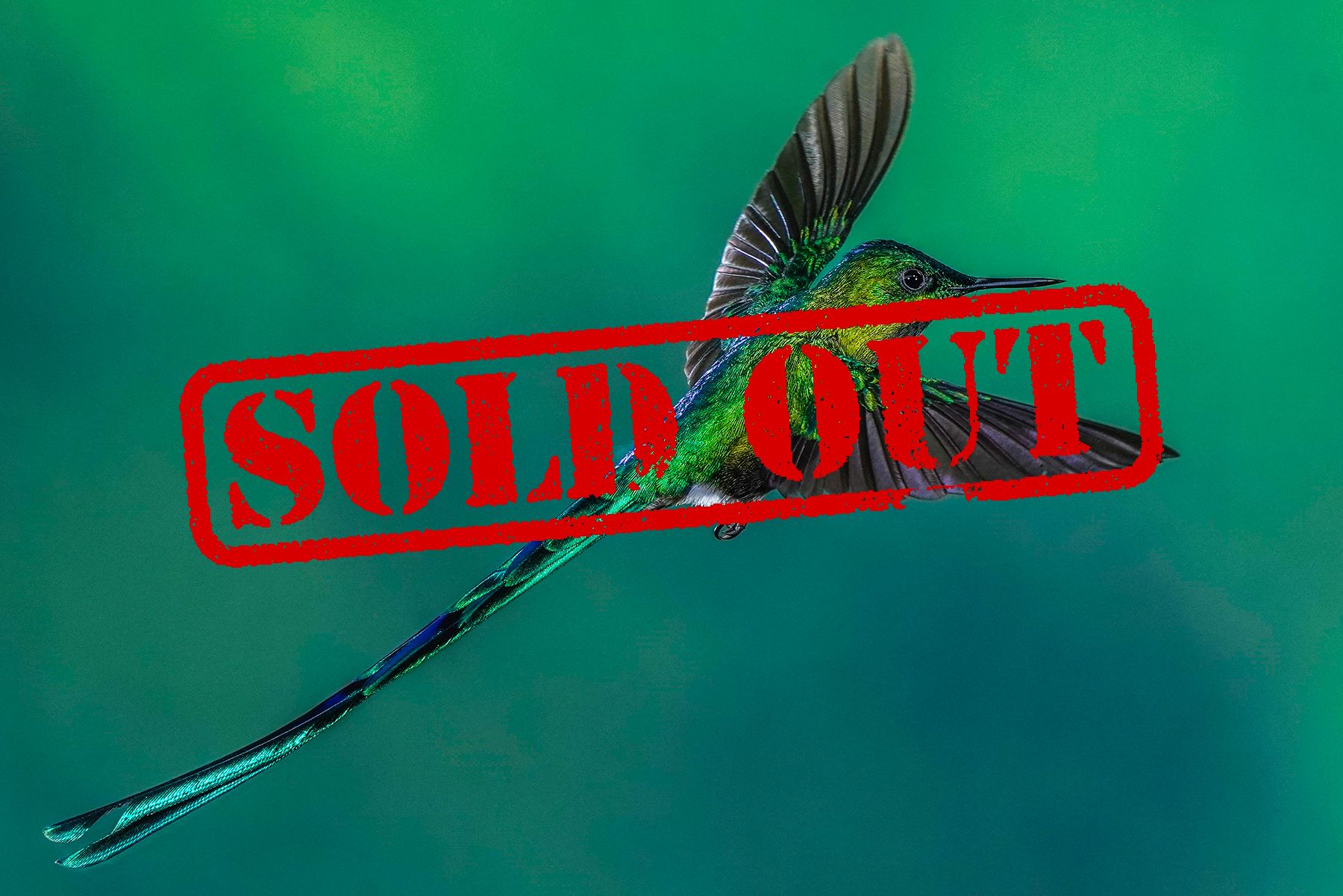 Colombia workshop Sold