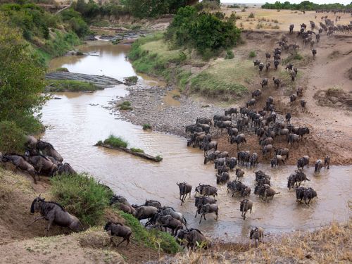 Tanzania Serengeti Great Migration