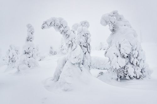 Finland Winter Landscape by Joshua Holko Finland Winter Landscape