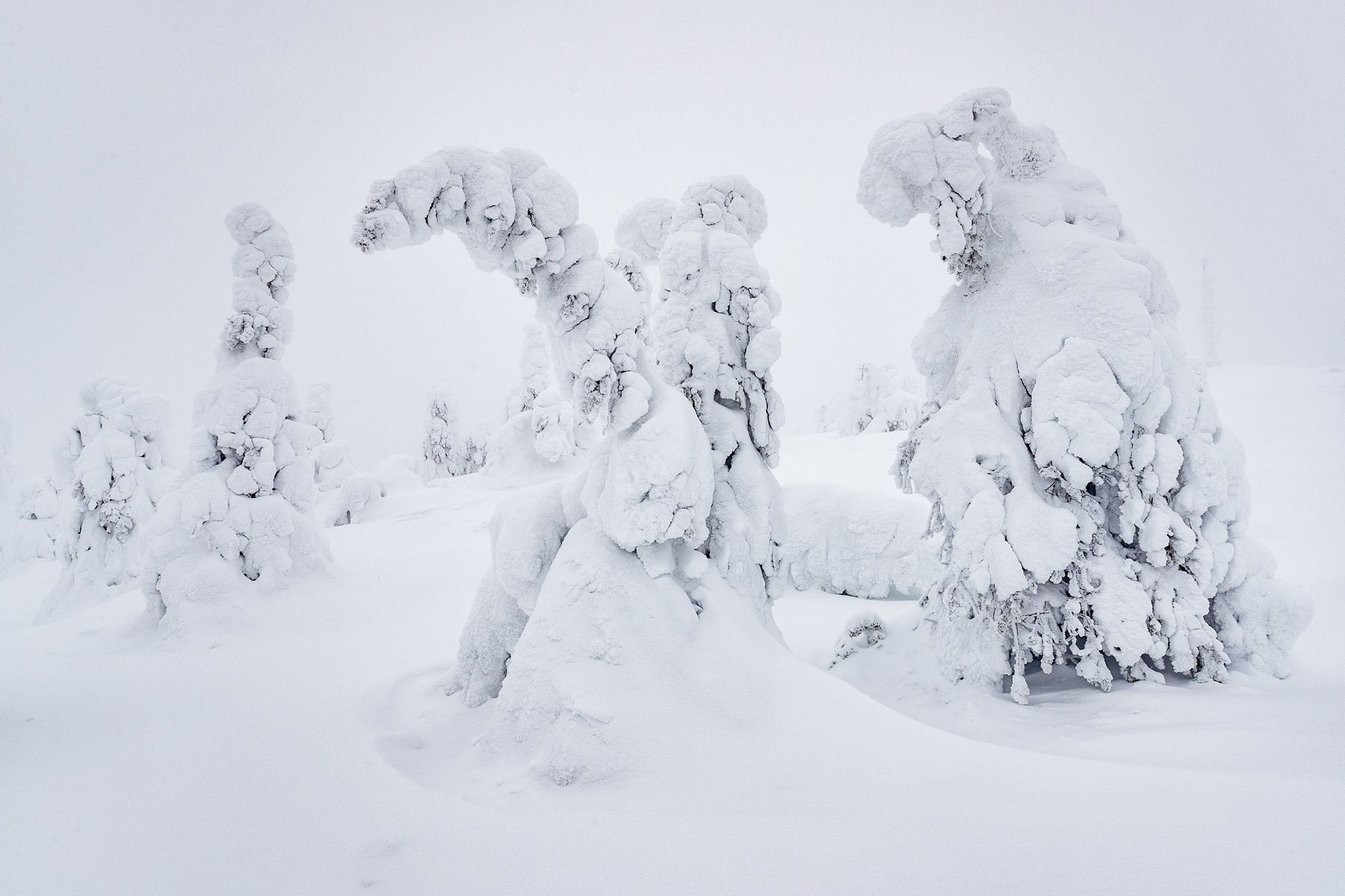 Finland Winter Landscape