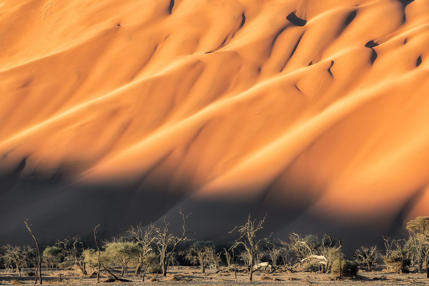 Namibia-5.jpg