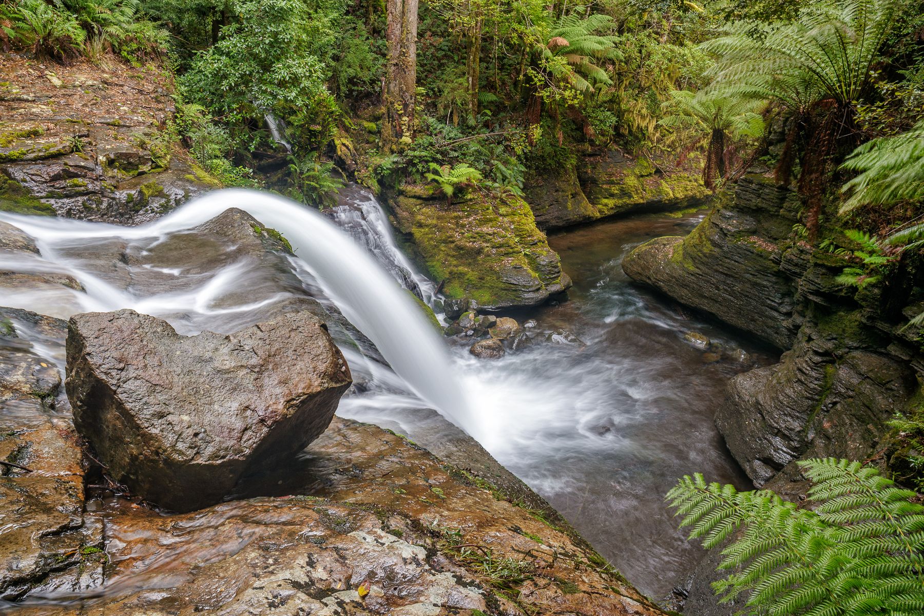 Liffey Falls