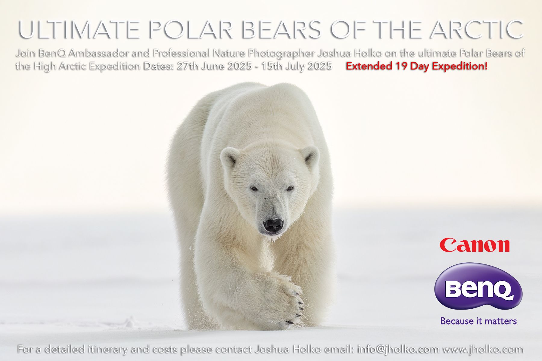 Ultimate Polar Bears