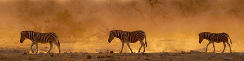 Africa Namibia Photography by Joshua Holko