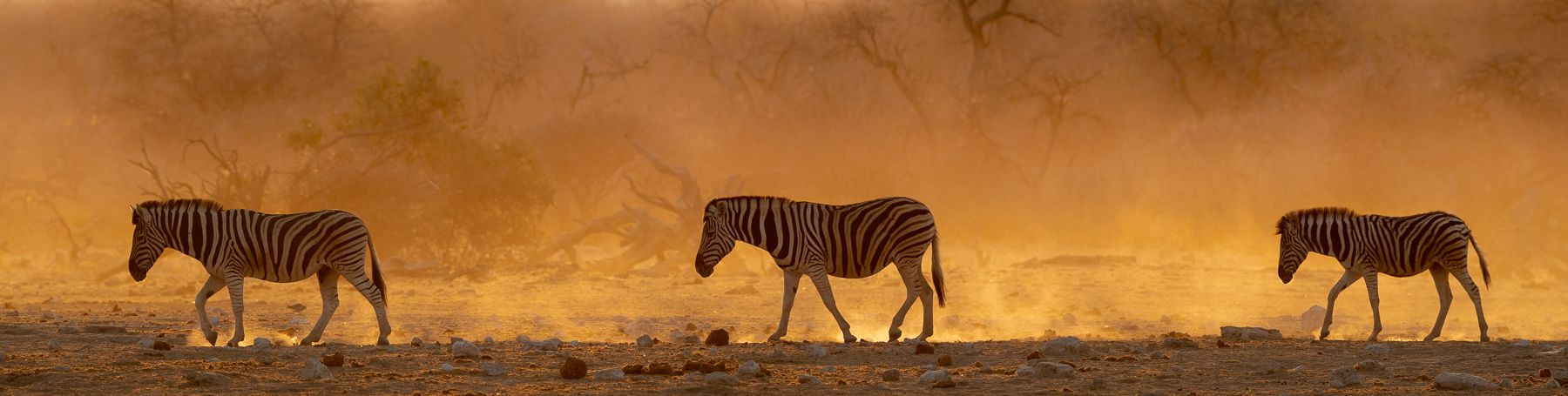 Africa Namibia Photography by Joshua Holko