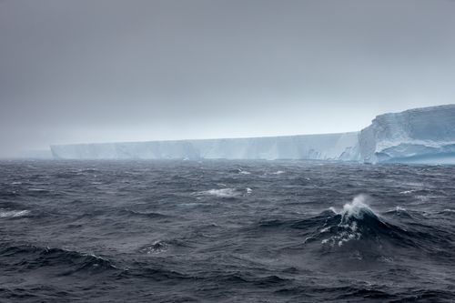 South Georgia Island Photography by Joshua Holko SouthGeorgia-7.jpg