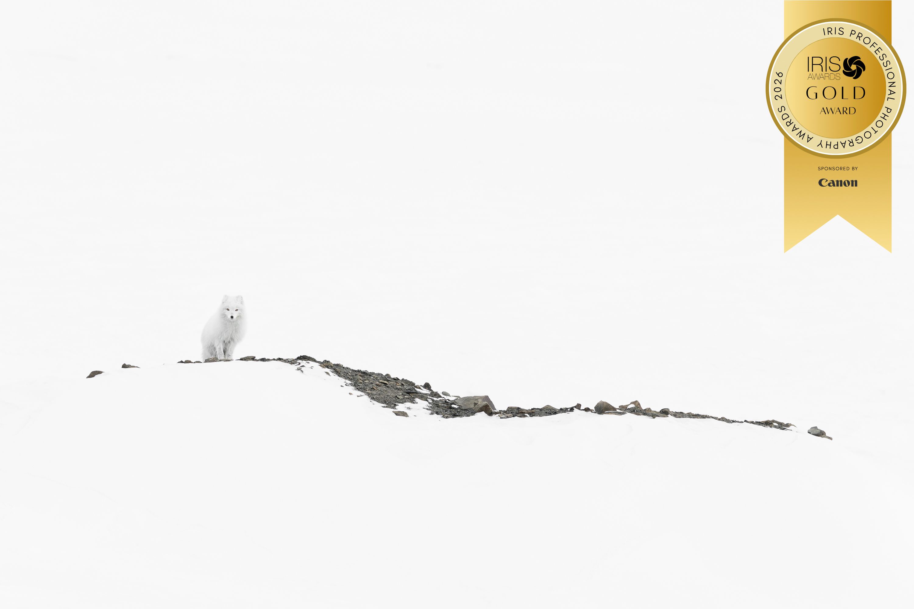 IRIS Photography Awards Joshua Holko
