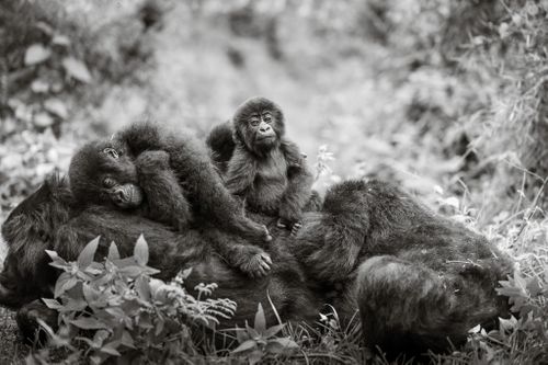 ABiggs_20210121_Kwitonda0475.jpg