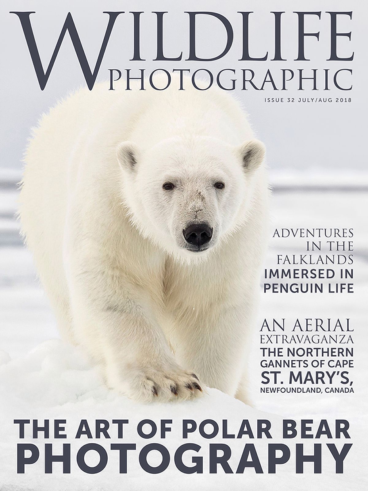 Cover photograph by Joshua Holko