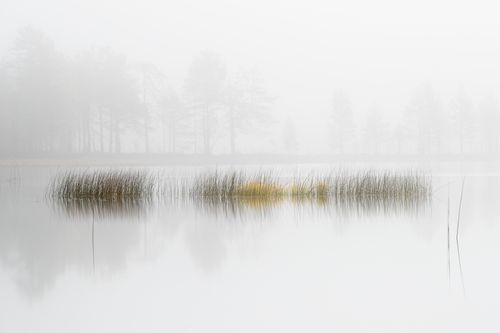 Finland landscape in Autumn by Joshua Holko Finland landscape in Autumn