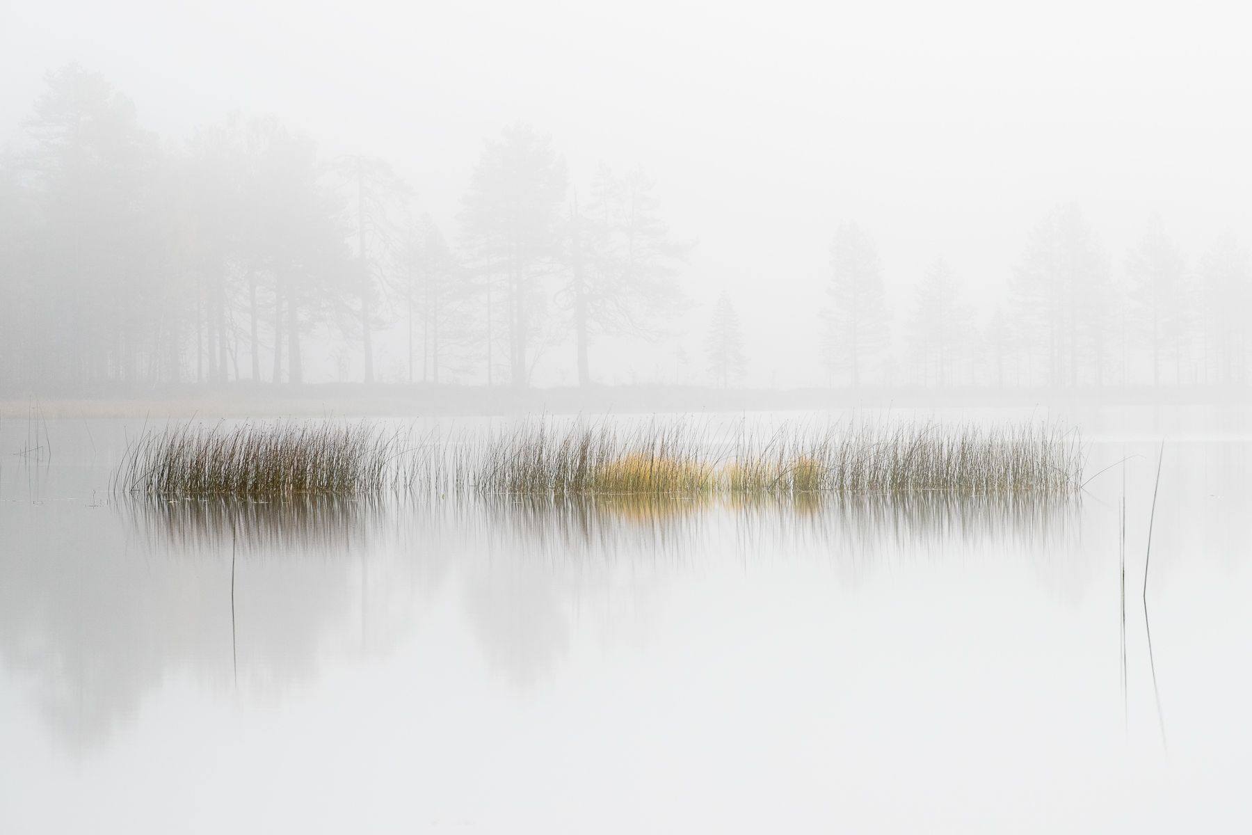 Finland landscape in Autumn