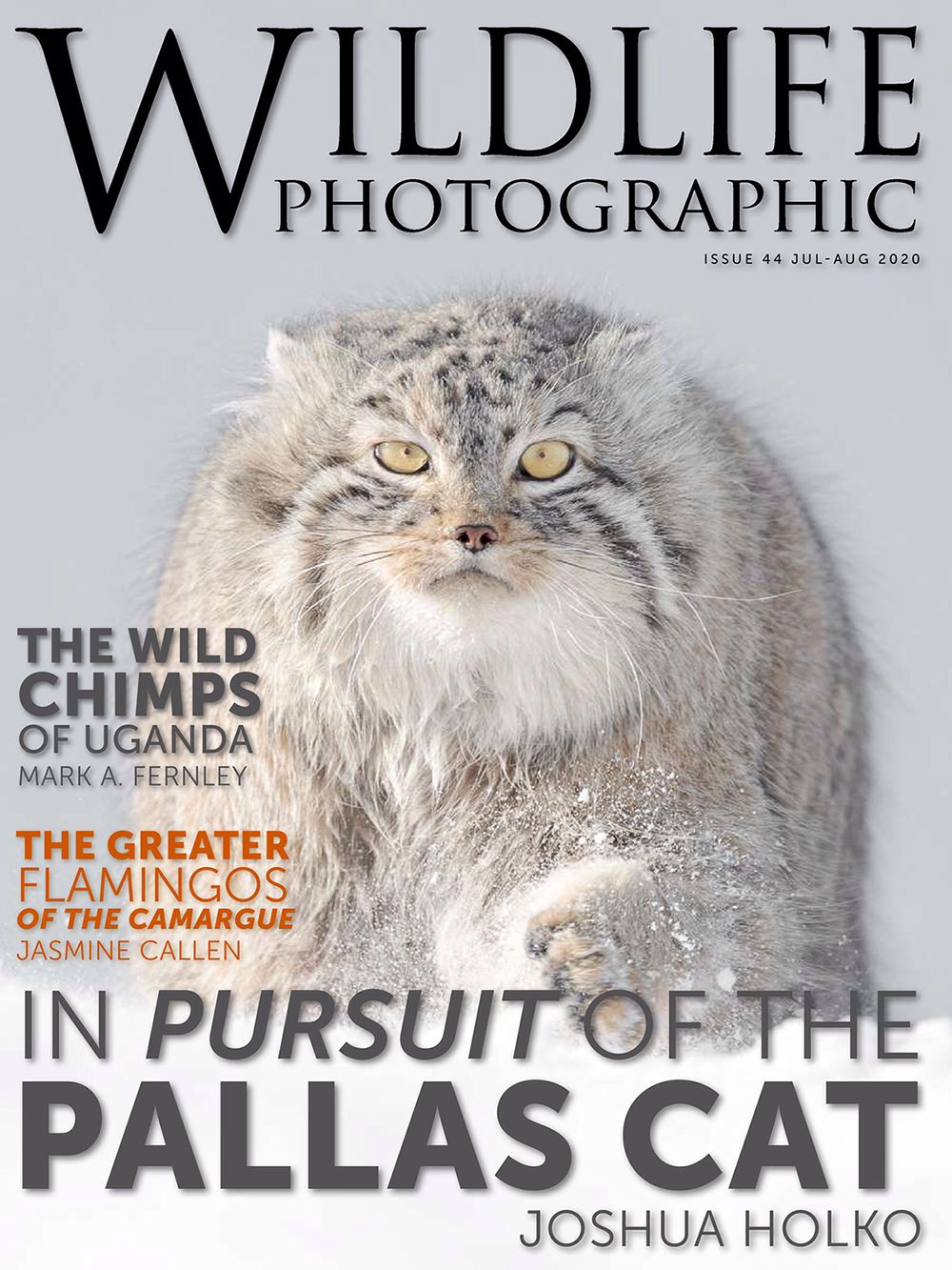 Cover photograph by Joshua Holko