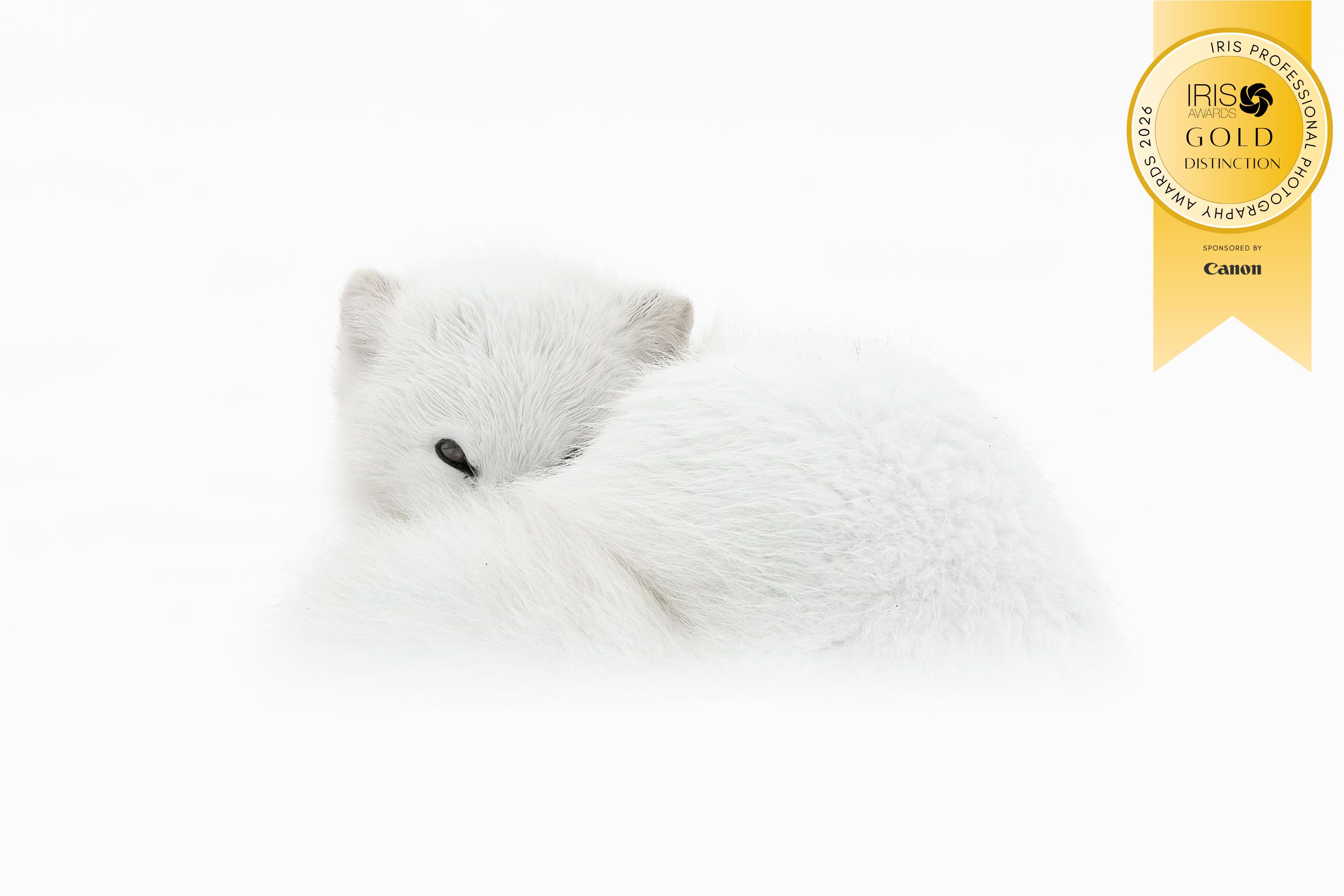 IRIS Photography Awards Joshua Holko