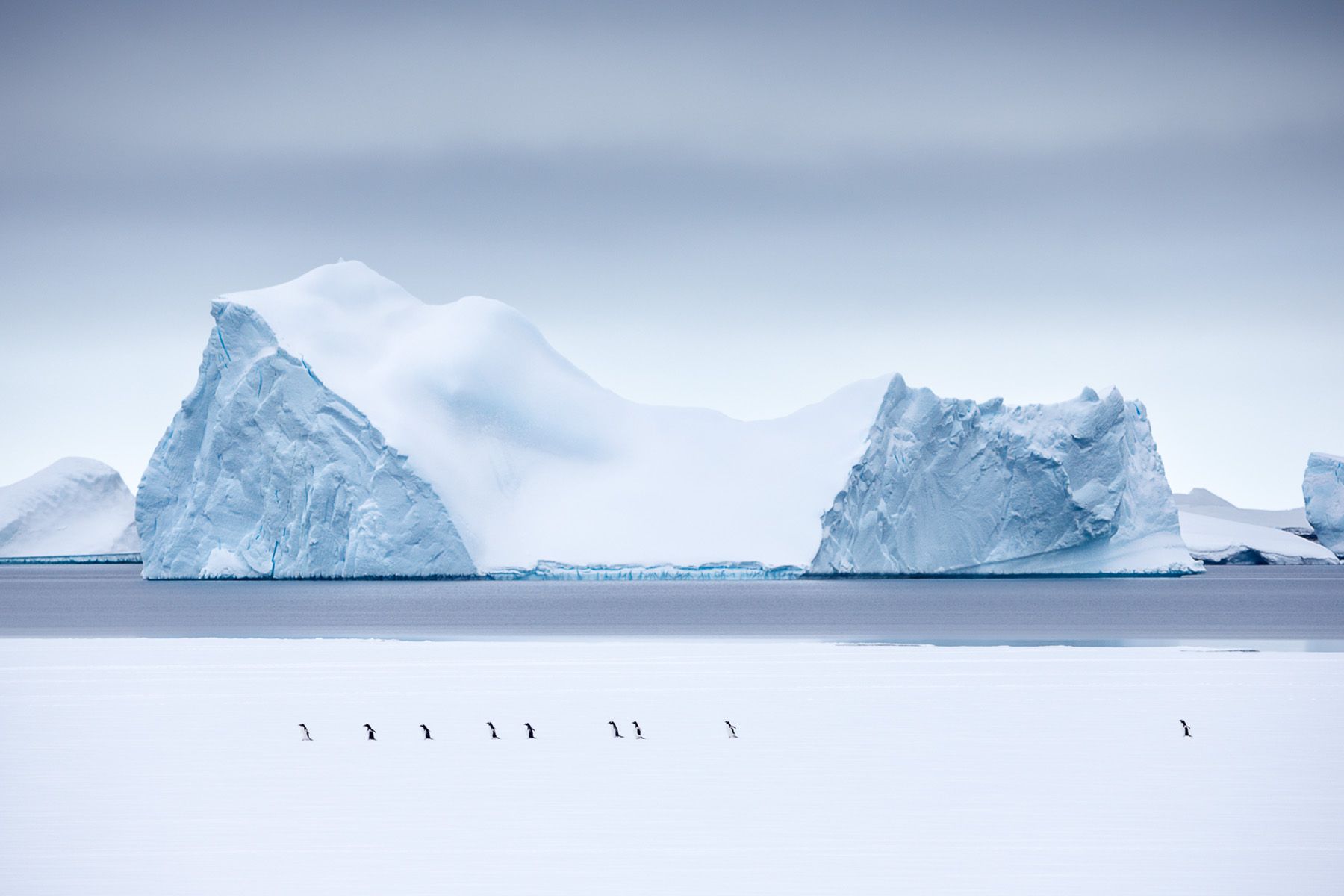 Antarctica-8.jpg