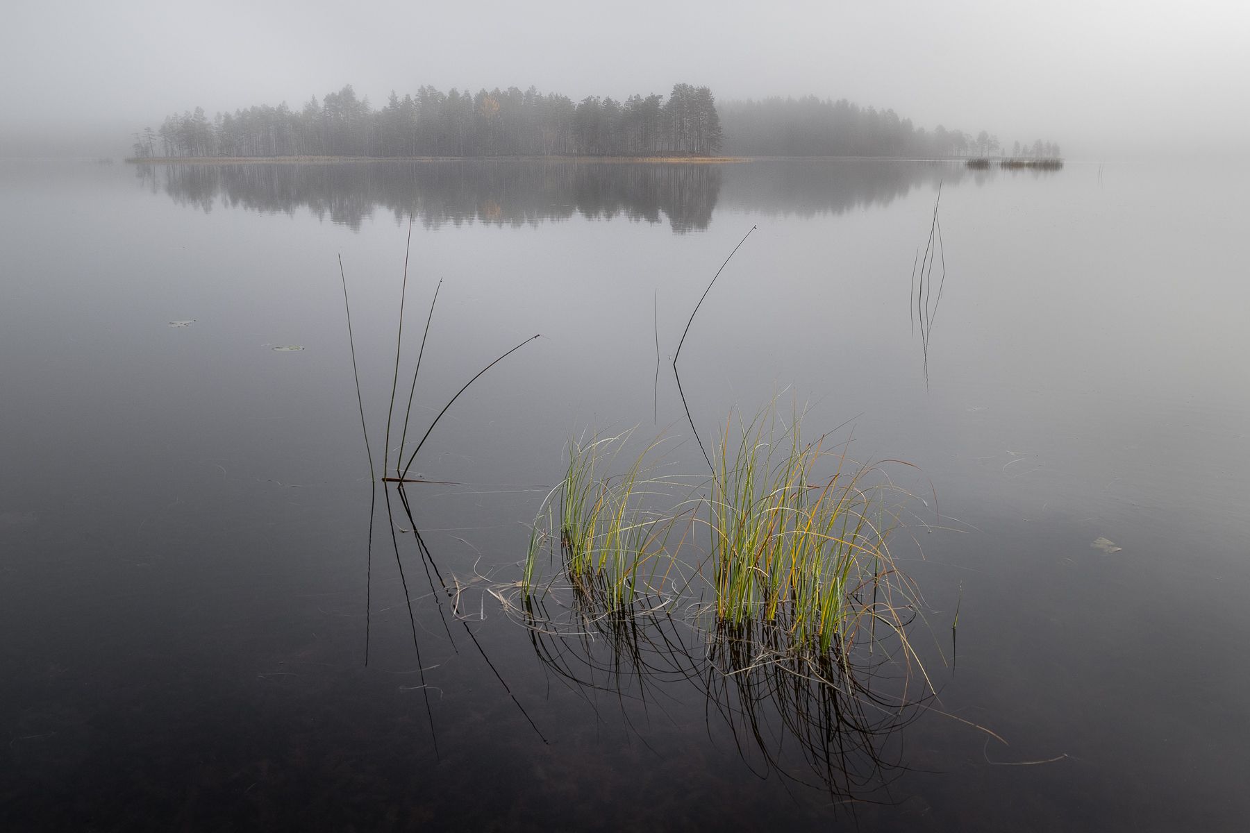 Finland landscape in Autumn