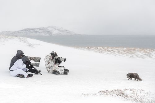 Photographers at Kviar