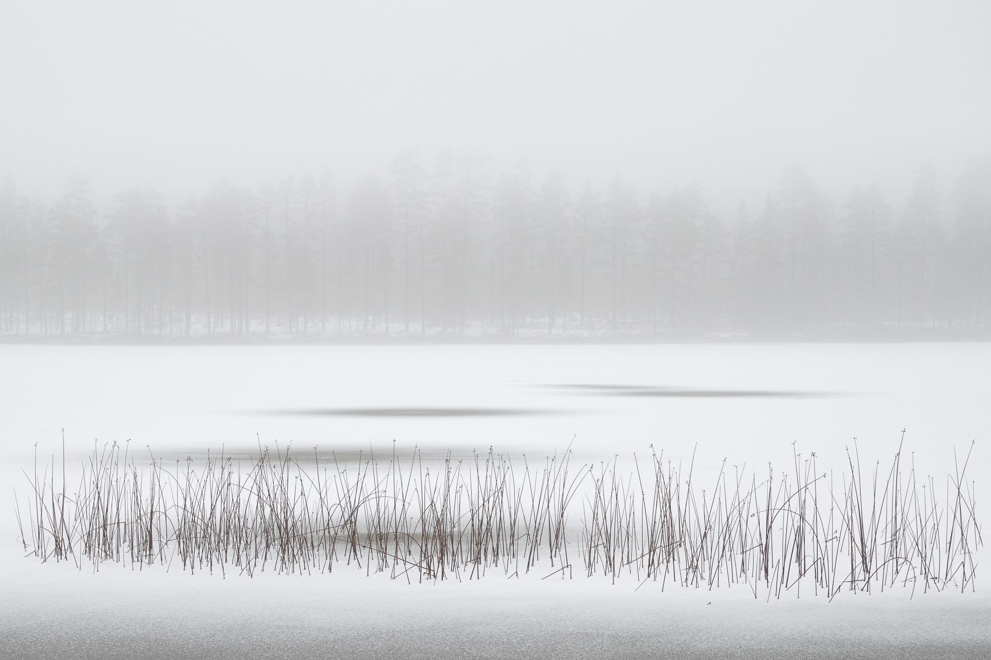 finlandwinter-7-holko.jpg