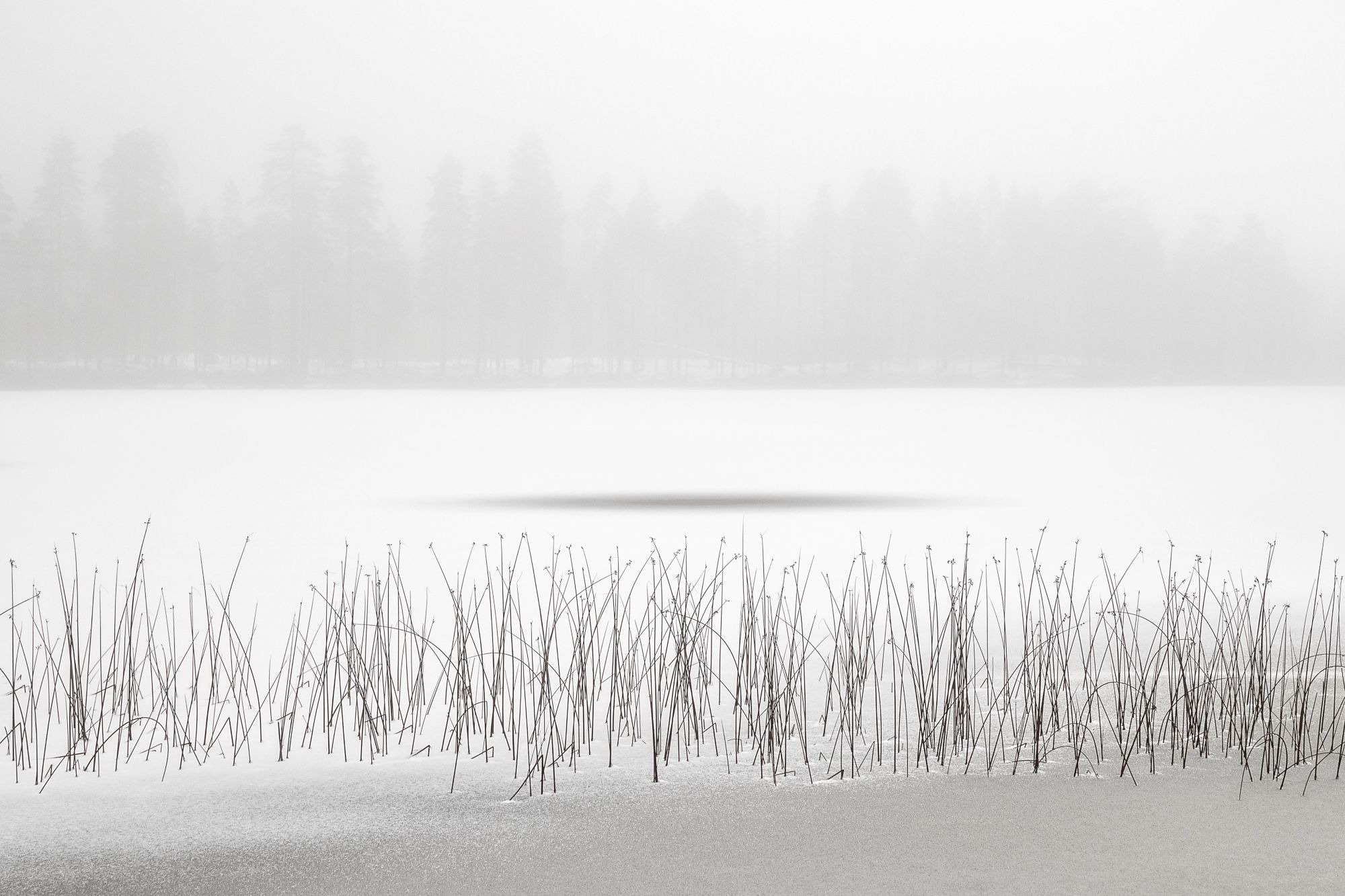 finlandwinter-8-holko.jpg