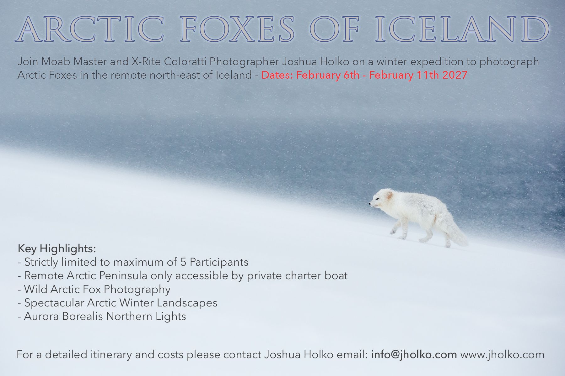 Arctic Fox Workshop