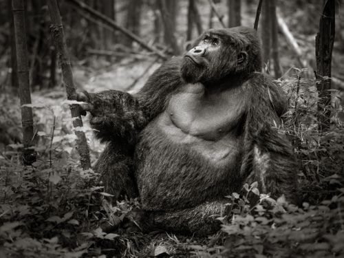 ABiggs_20151004_Rwanda077.jpg