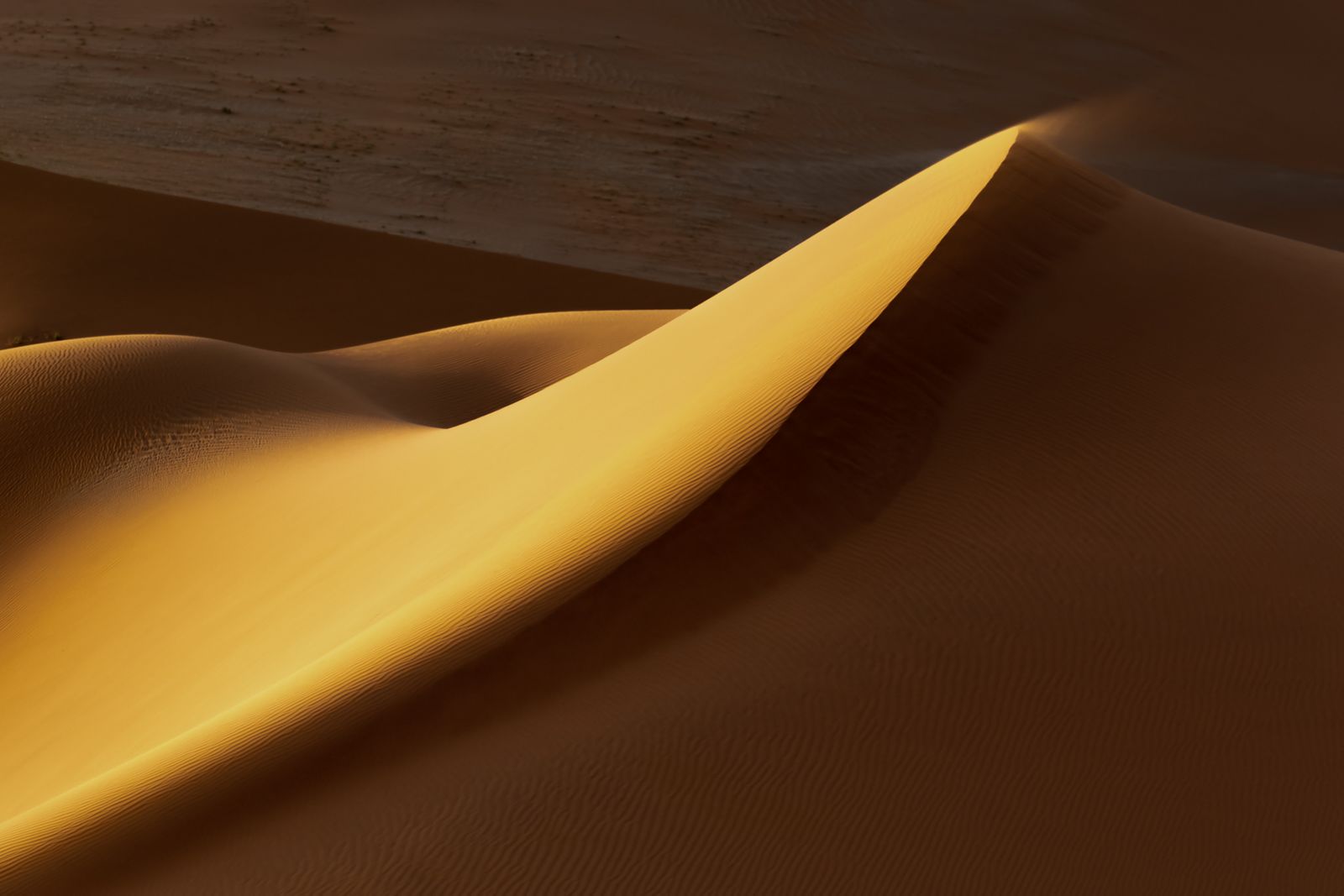 Namibia-Dune-2.jpg