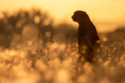 Africa Namibia Photography by Joshua Holko