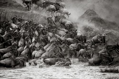 Tanzania Serengeti Great Migration Tanzania Serengeti Great Migration