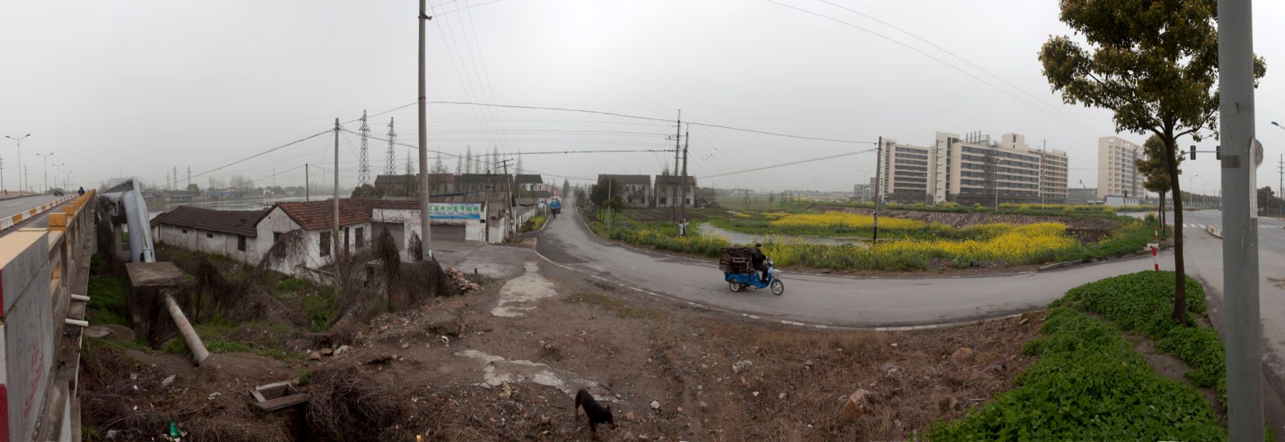 inkjet print, 20"x55" Seshan #2