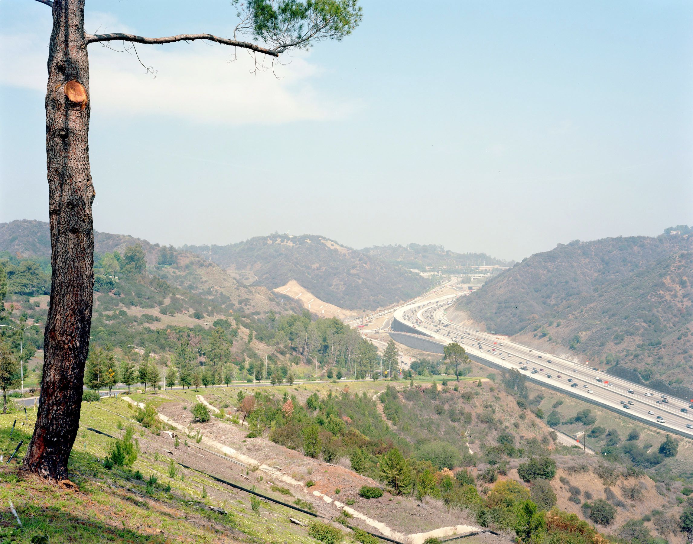 inkjet print Freeway