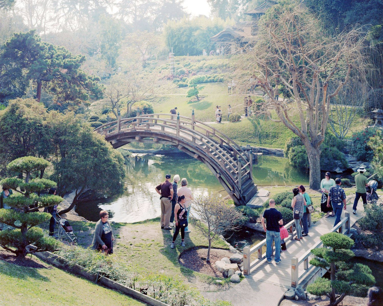 inkjet print Public Garden