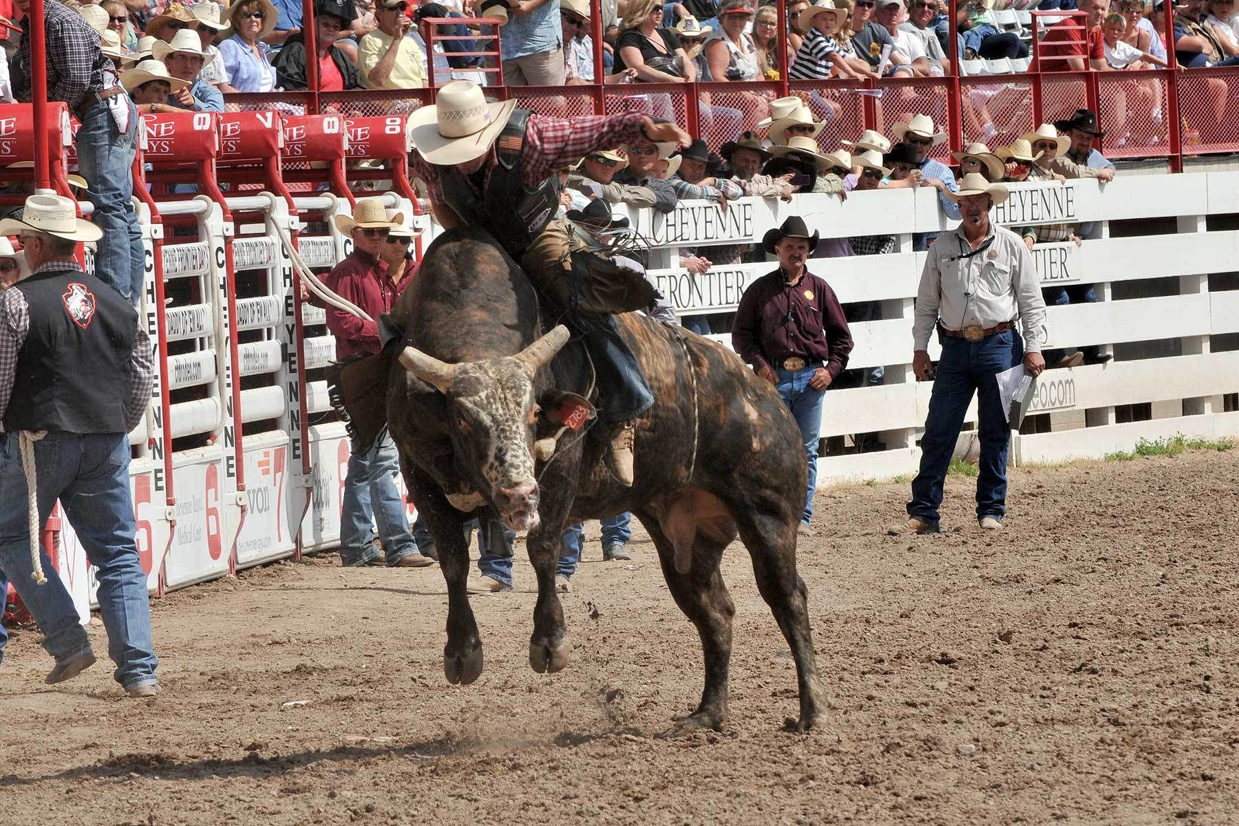 1bull_riding_03.jpg