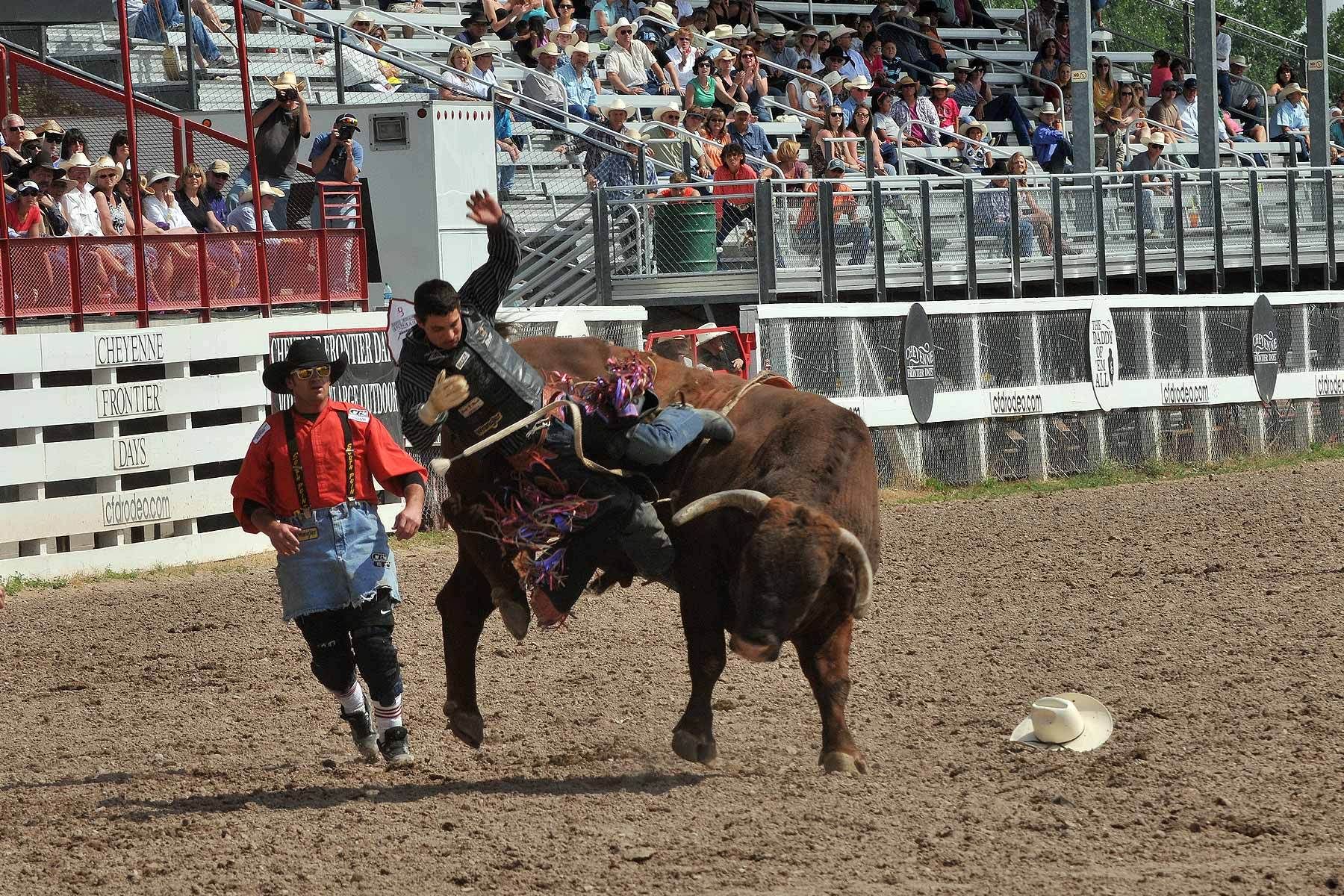 1bull_riding_05.jpg