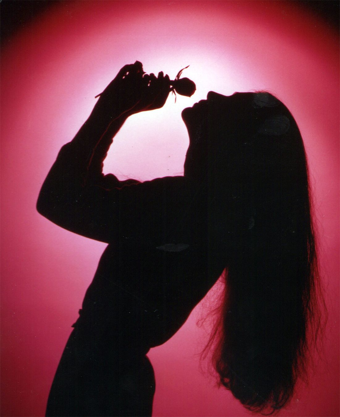 silo of model 1web.jpg