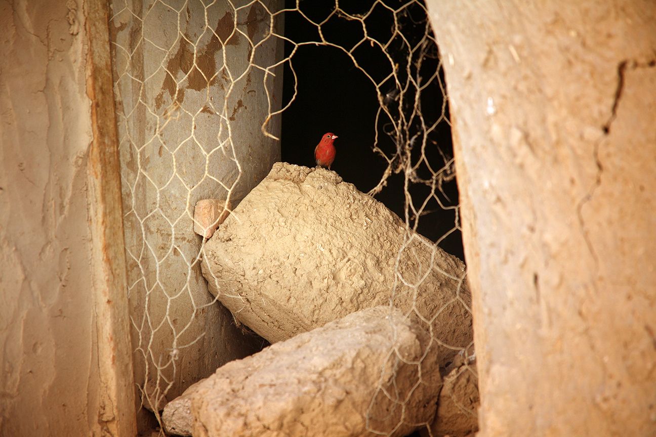 112206IMG_3781 copy.jpg