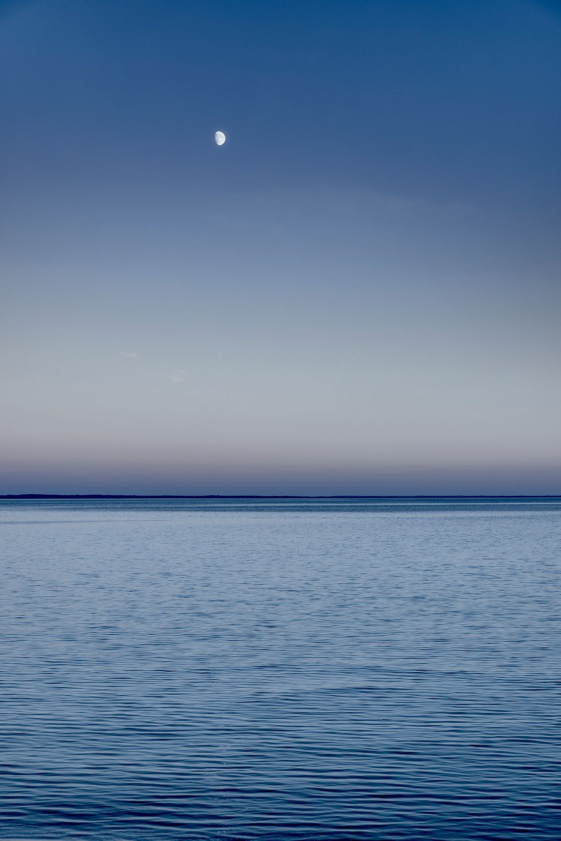_U0A6710-copy.jpg