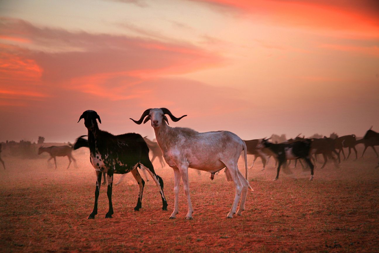 110806IMG_070432 copy.jpg