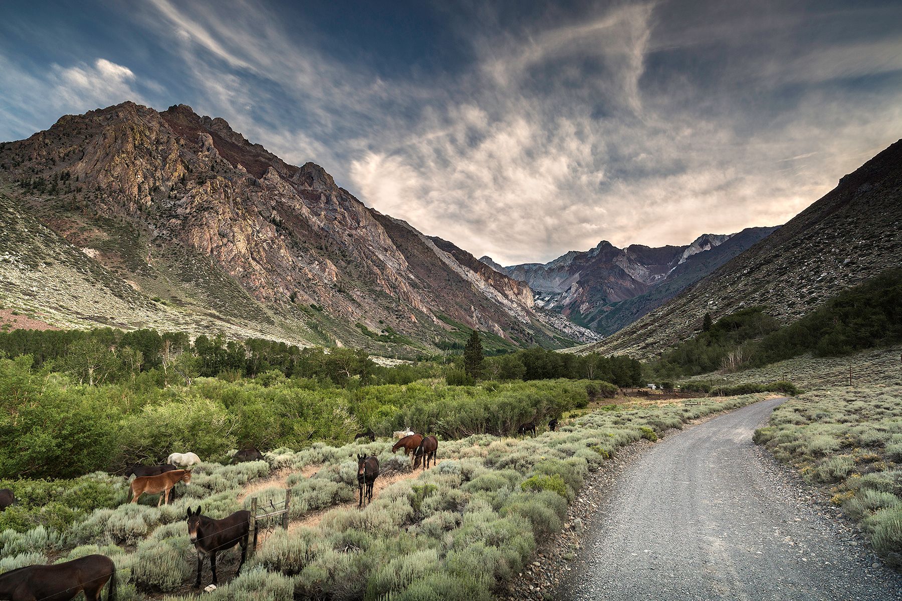 _MG_8375 as Smart Object-1.jpg