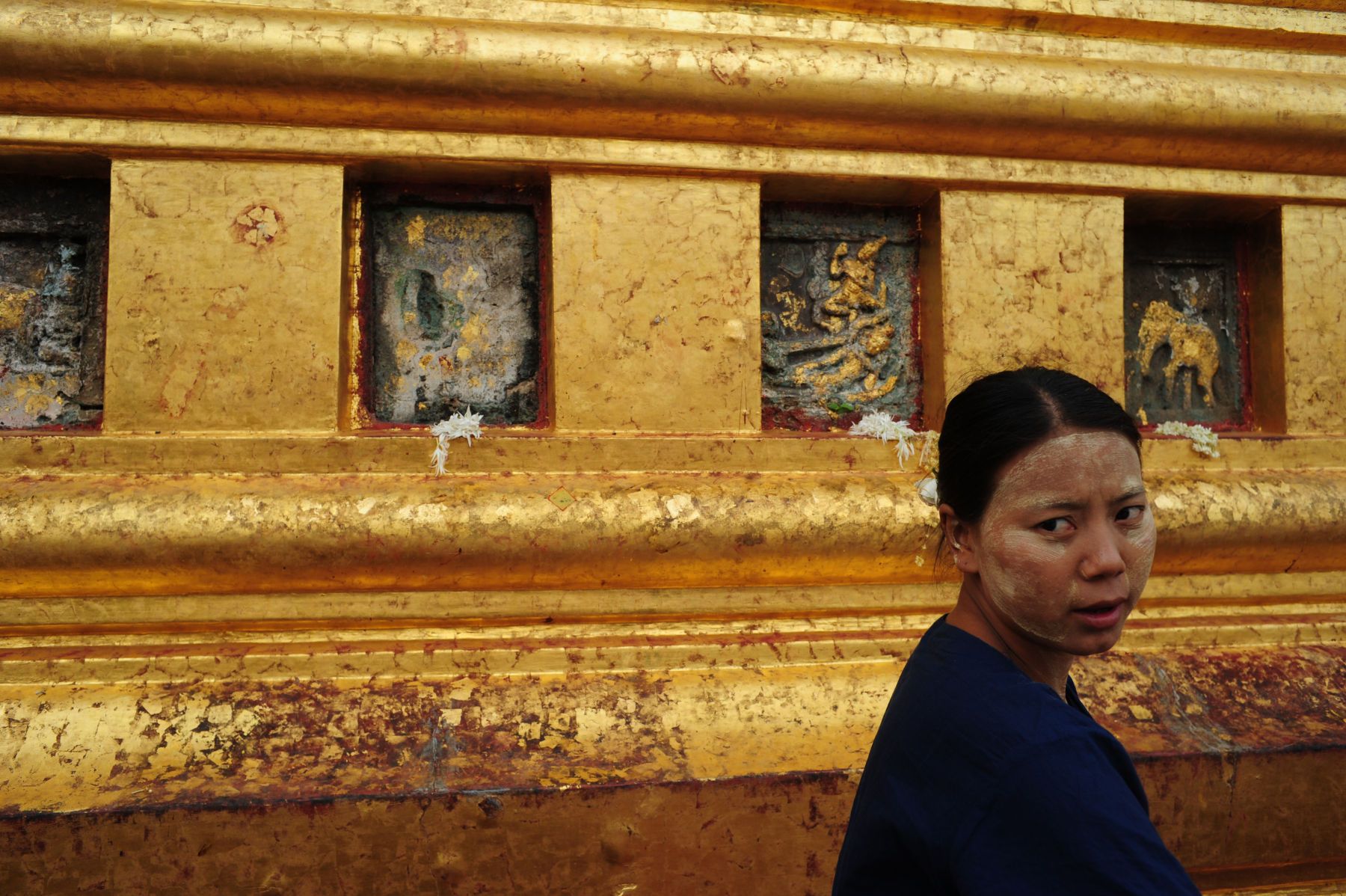 1r11_gold_leafer_bur_8079