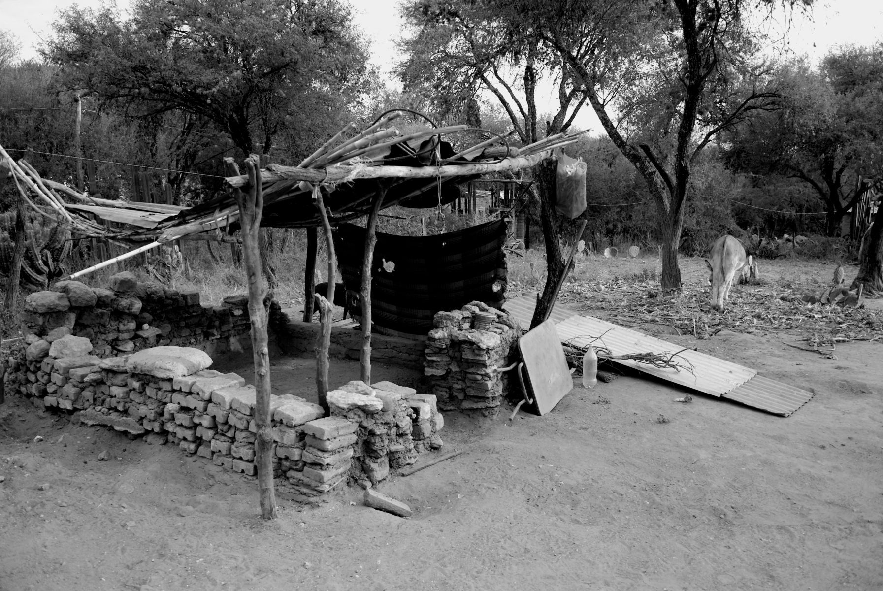 1r11_los_galvones_mx_10