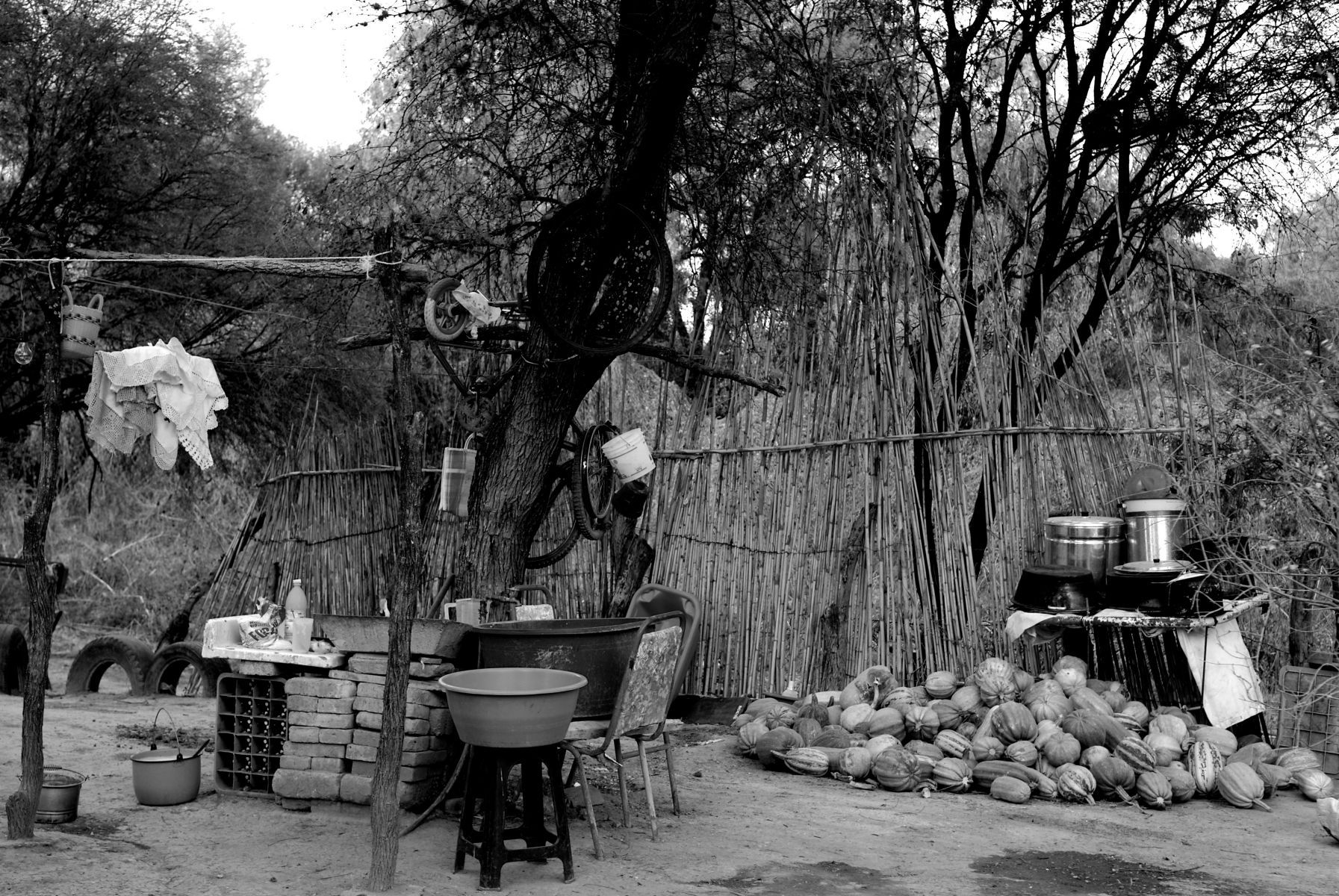 1r14_los_galvones_mx_13