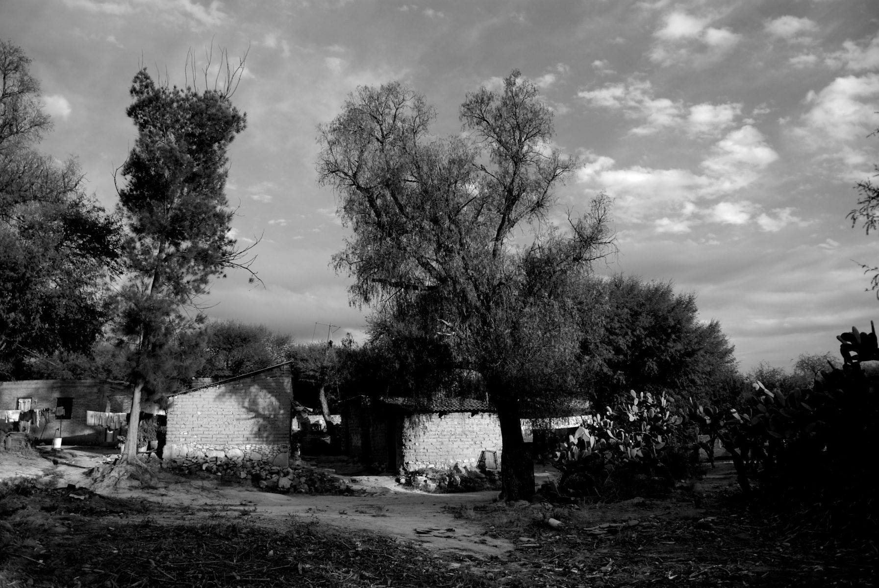 1r13_los_galvones_mx_12