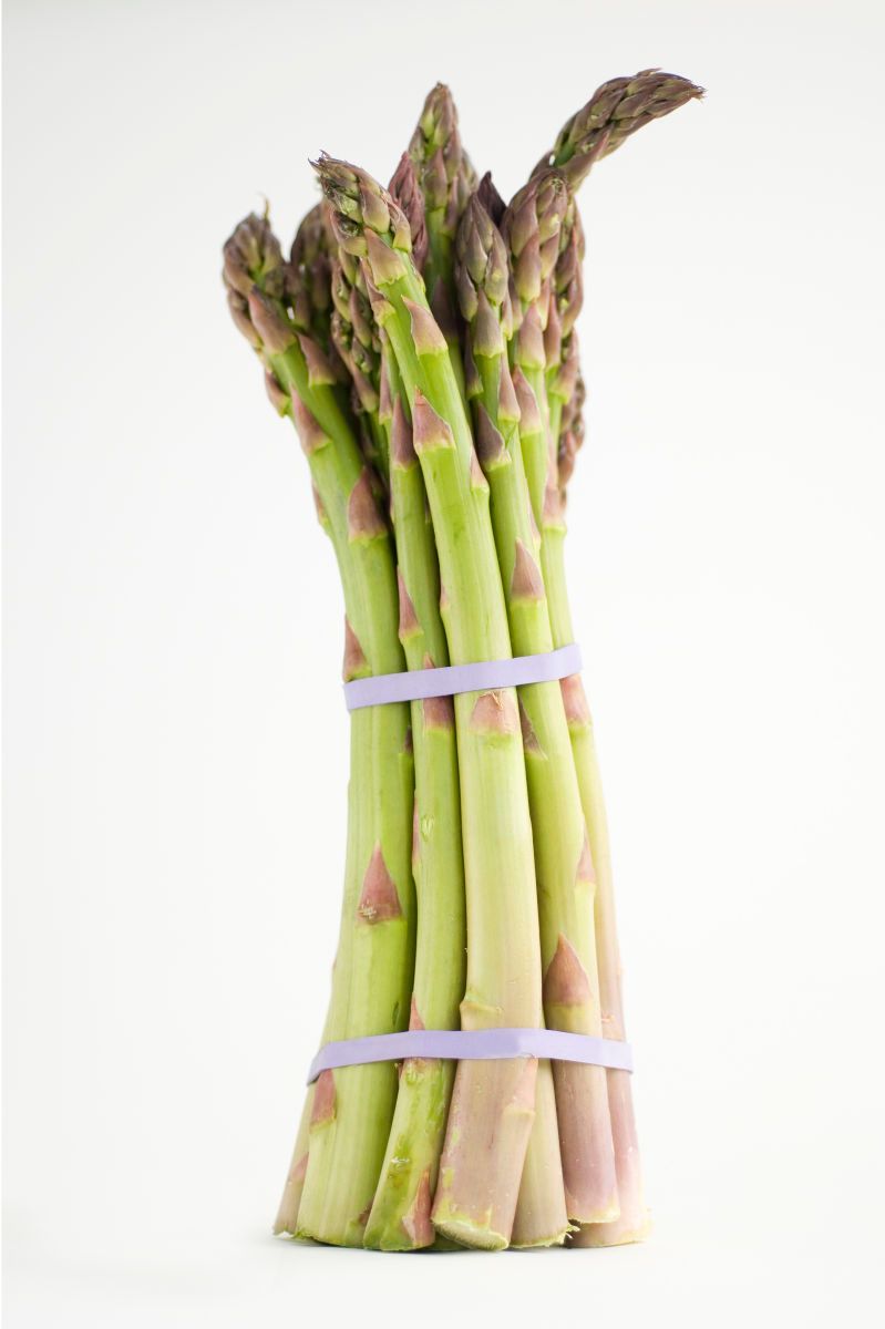 4_1asparagus.jpg