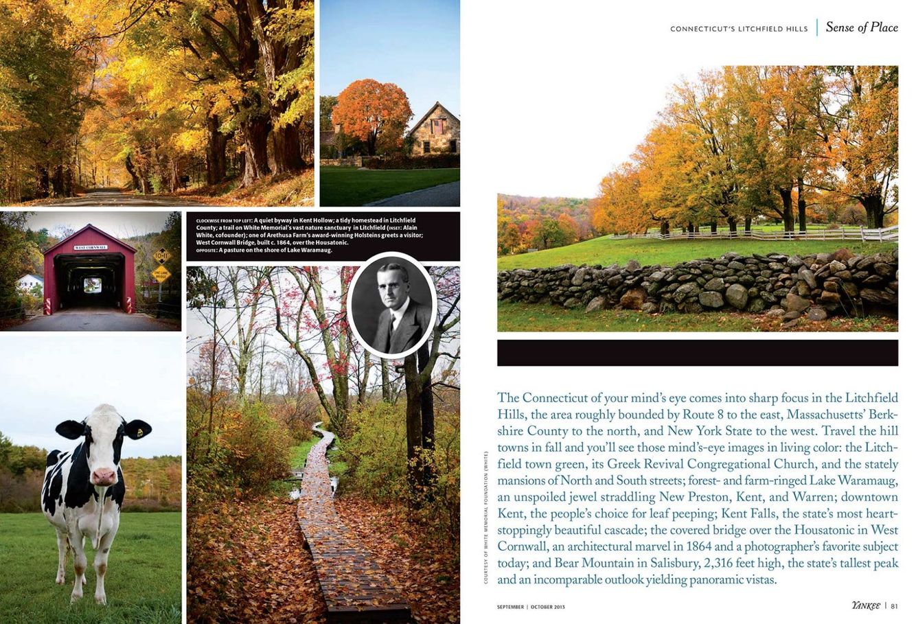 6_1yankee_litchfield_1b.jpg