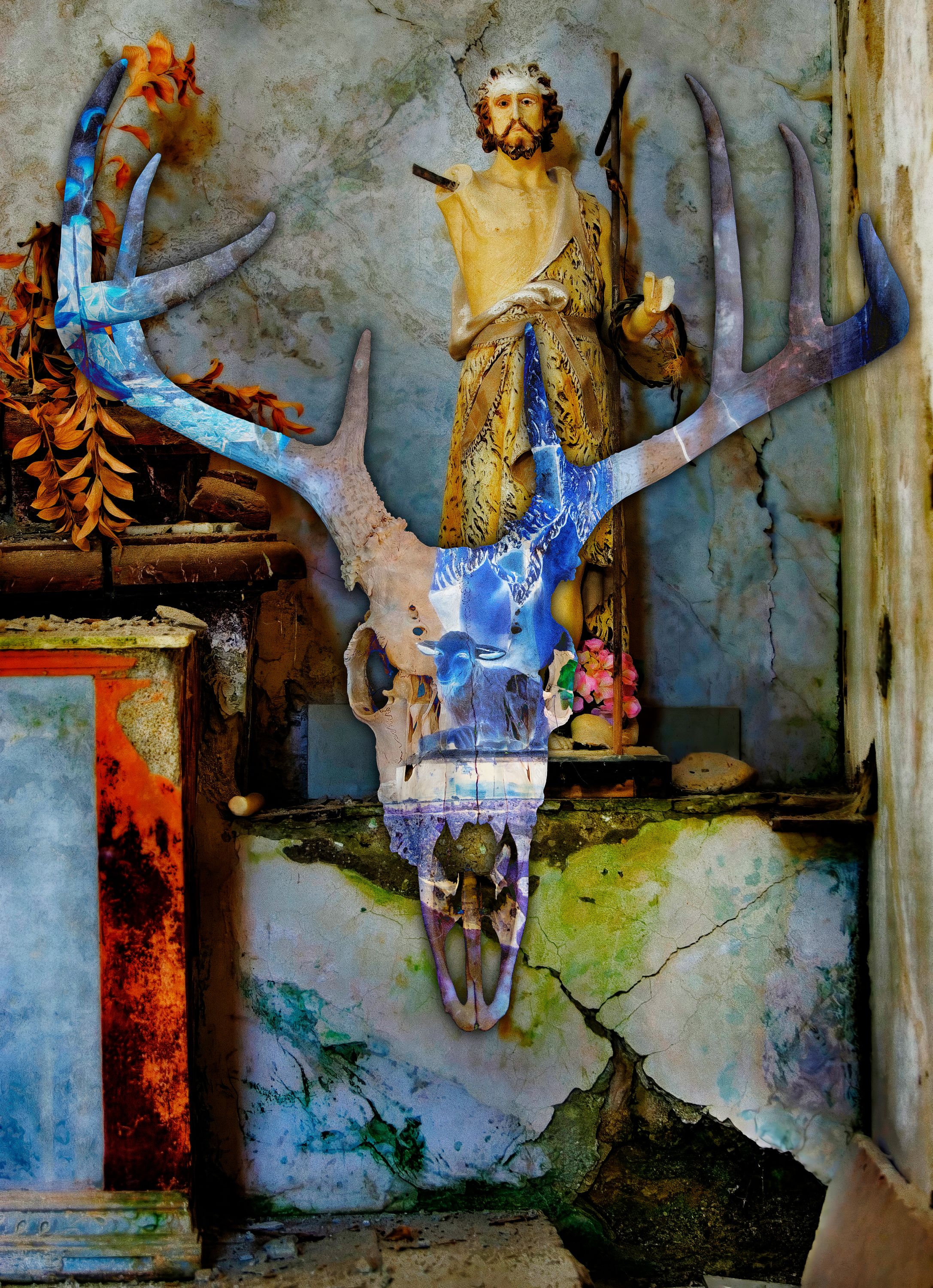 Deer Skull No. 7