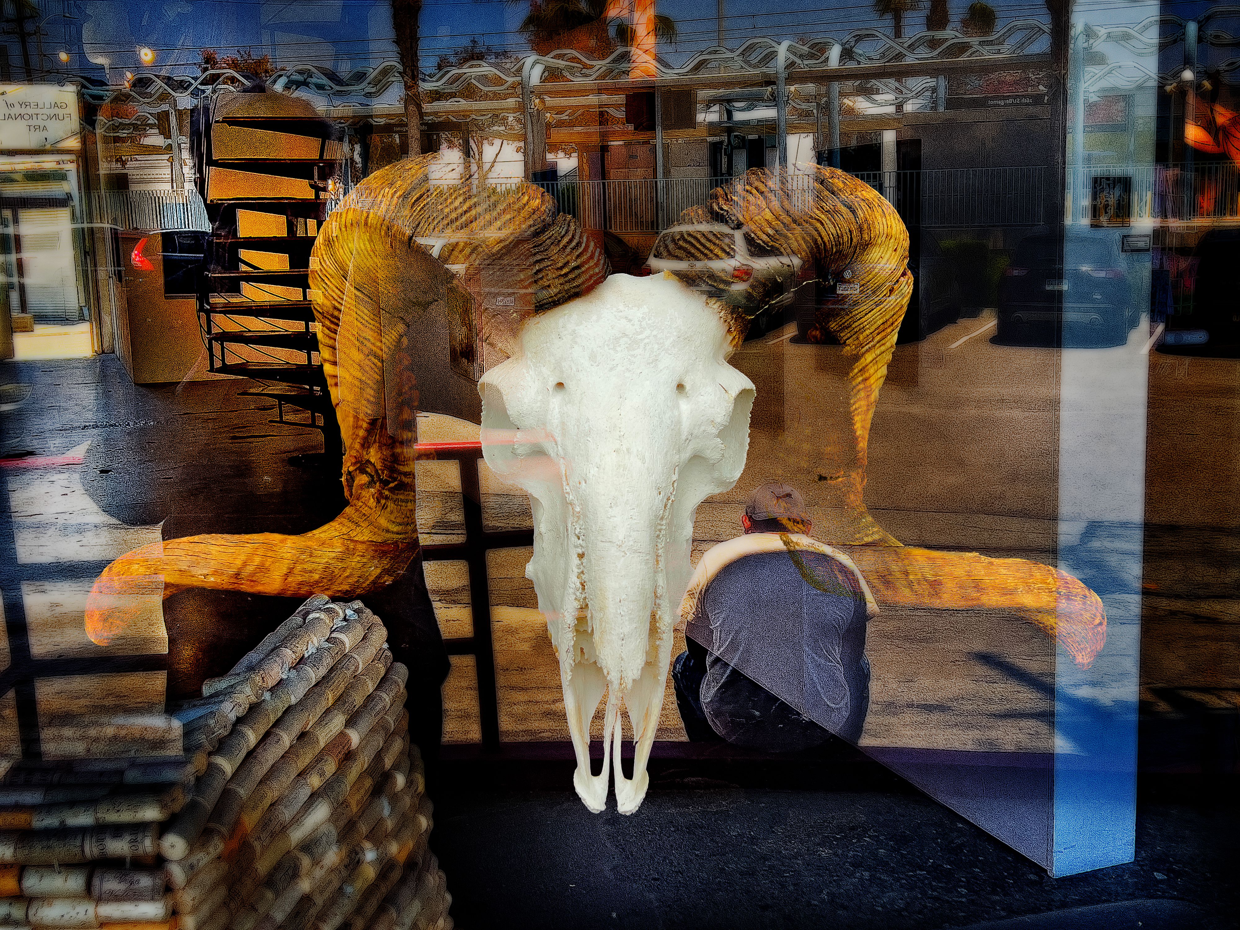 Ram Skull No. 10