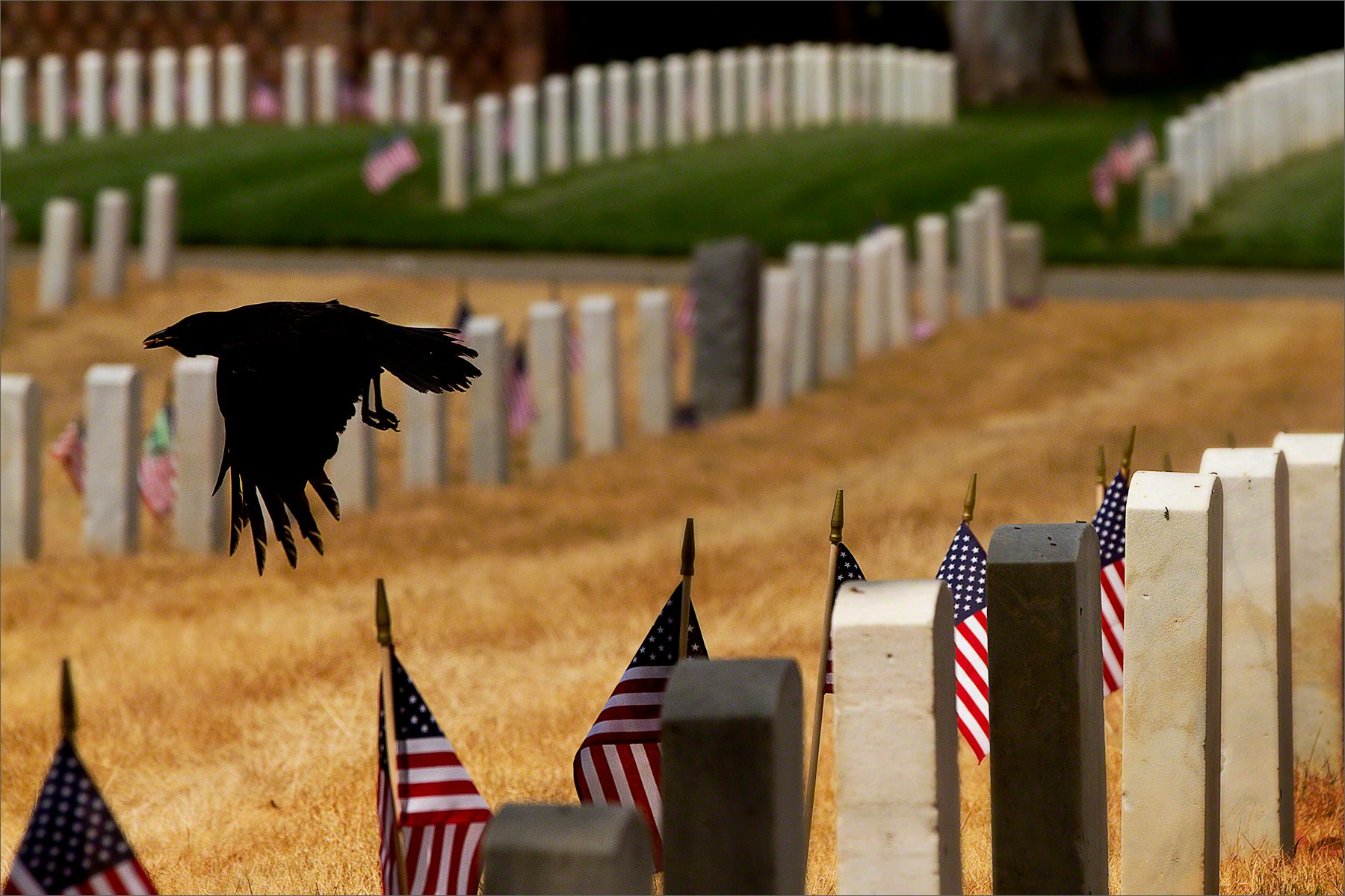 Veteran's Cemetery, Los Angeles