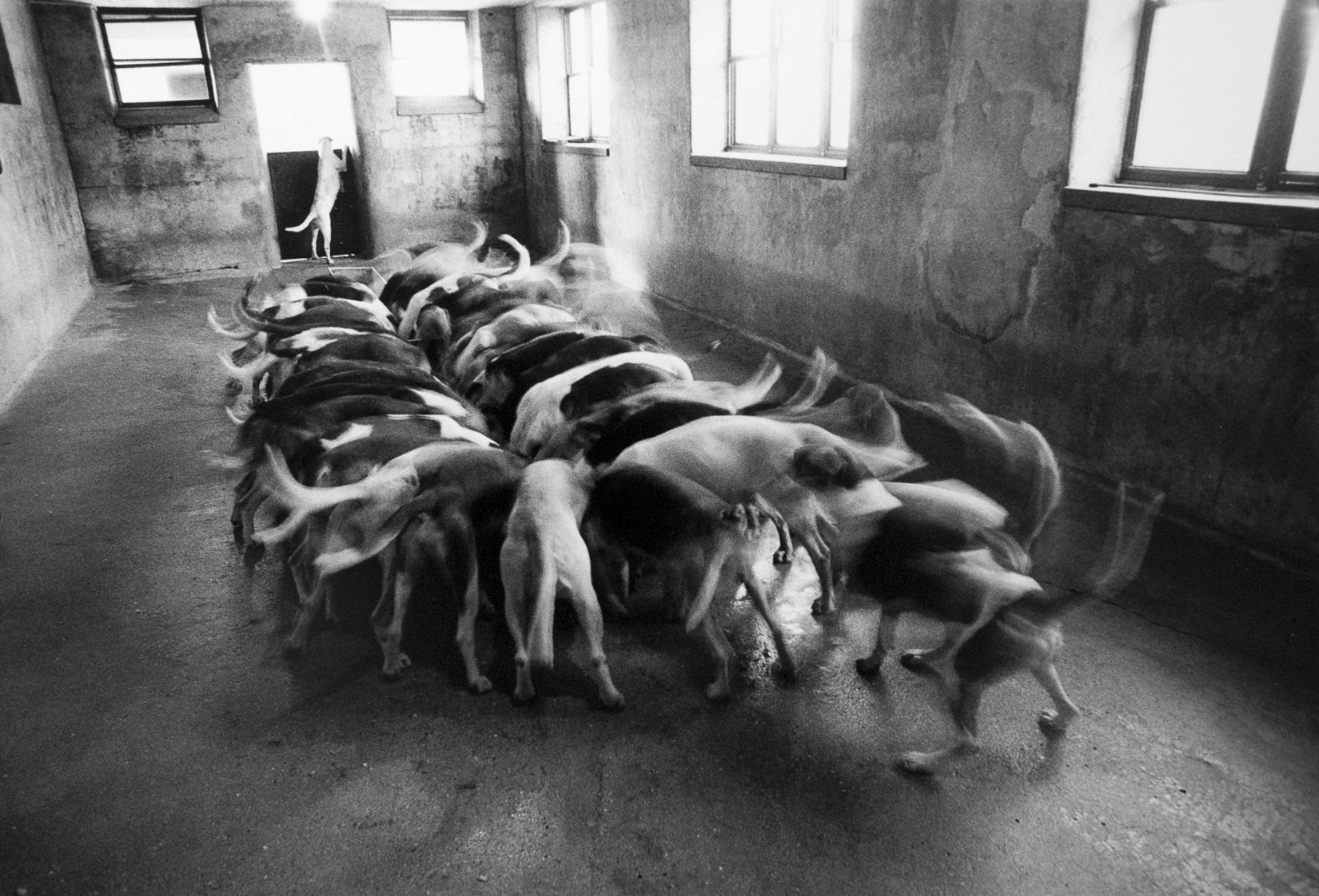 1r2012_12_01_cheshire_submission___0009