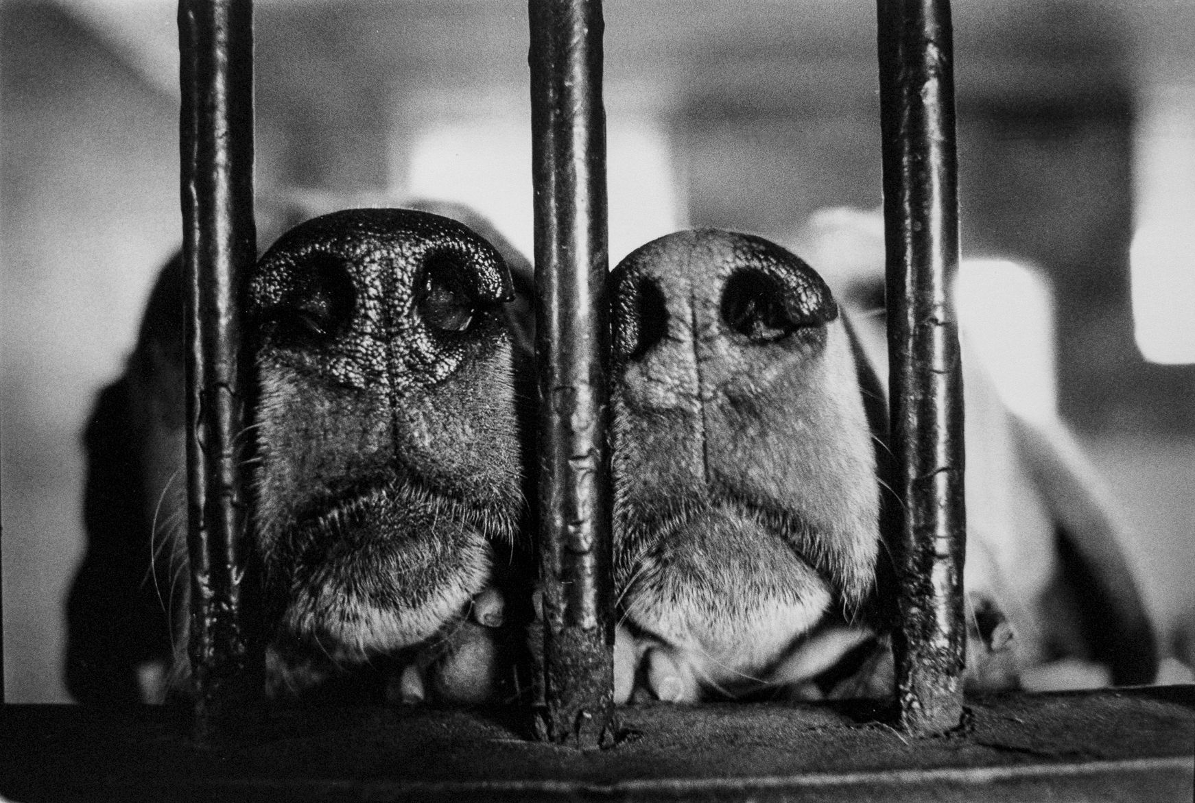 1r2012_12_01_cheshire_submission___0012