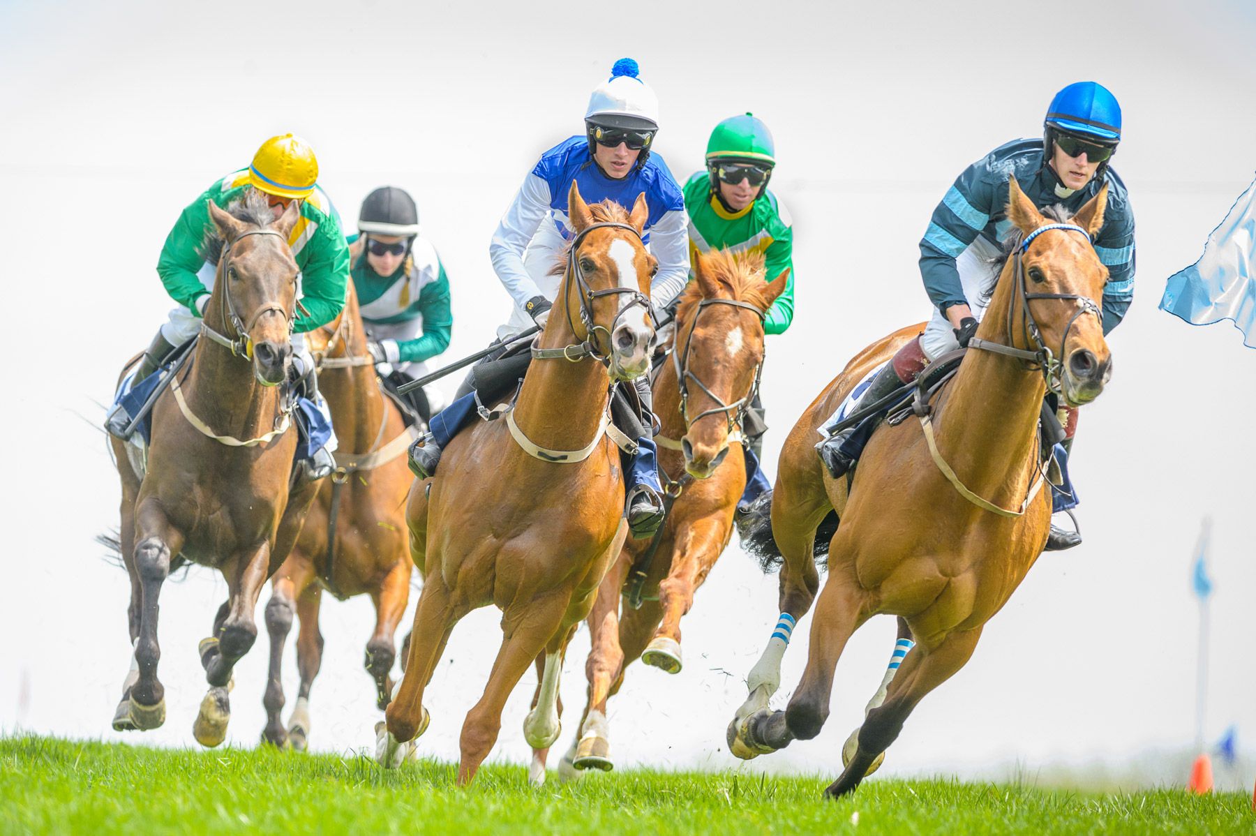 1r2015_04_19fairhillpointtopoint_0578