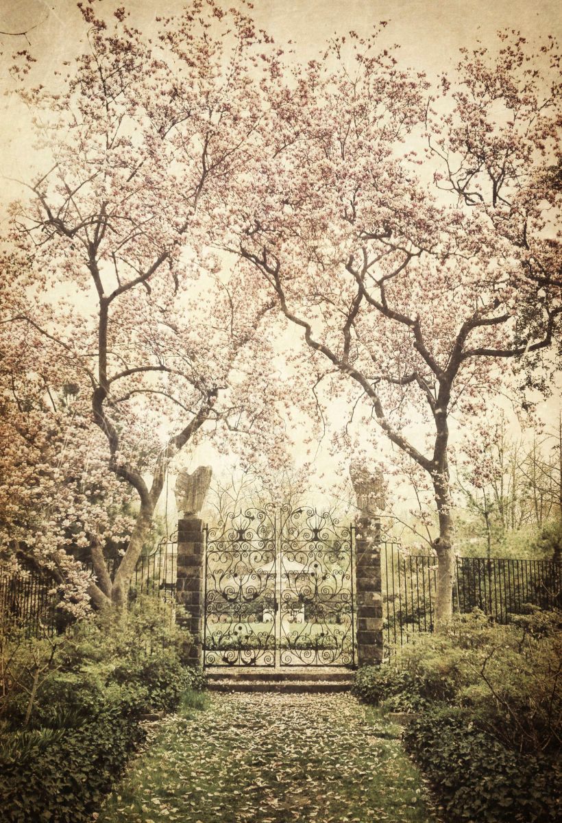 1photo_apr_17__11_13_16_am__2_